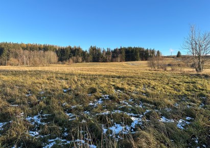 działka na sprzedaż - Stare Bogaczowice, Jabłów