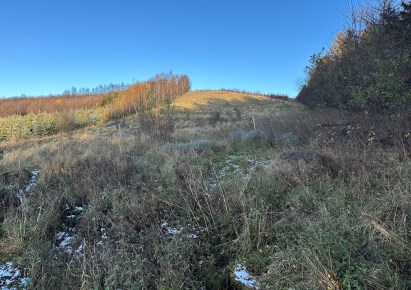 działka na sprzedaż - Stare Bogaczowice, Jabłów